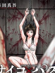 少年派1 小说
